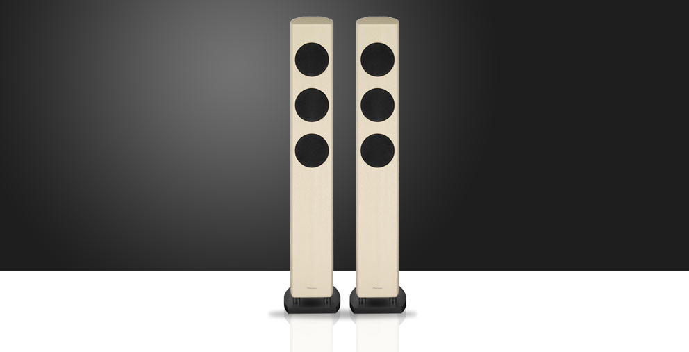 Pioneer S 31 LR