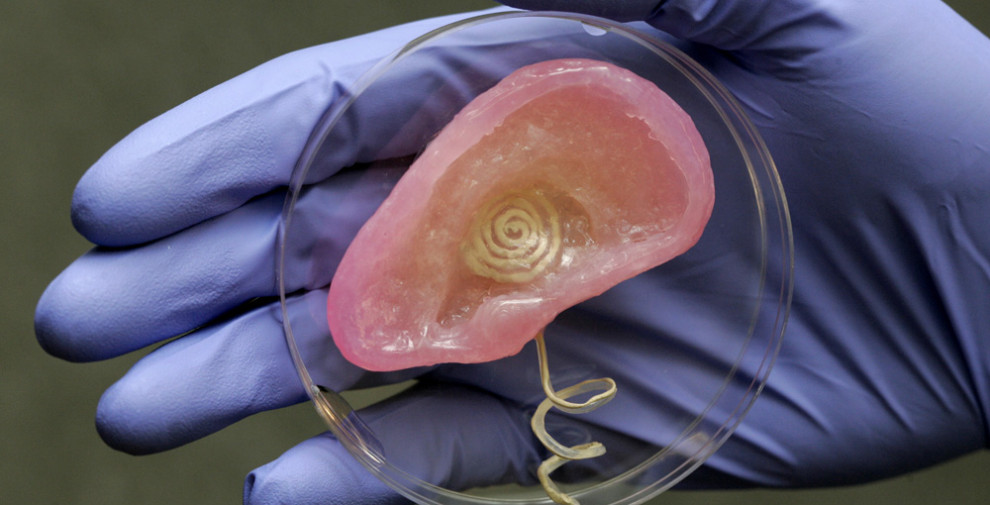 3D-printet øre kan høre supersoniske frekvenser