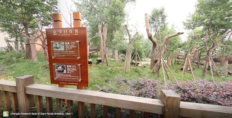 Kom i zoologisk have med Street View