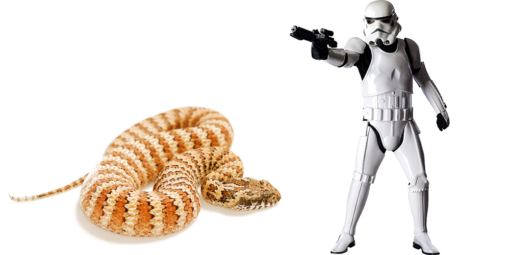 Star Wars-kostume forhindrer slangebid