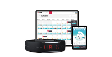 Polar-Loop-Activity_measurement_system