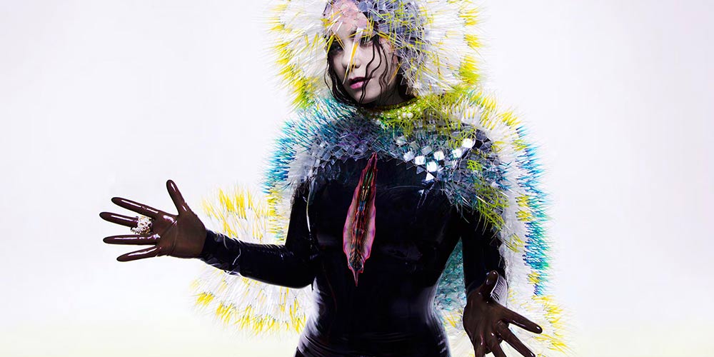 Bjørk Vulnicura heading
