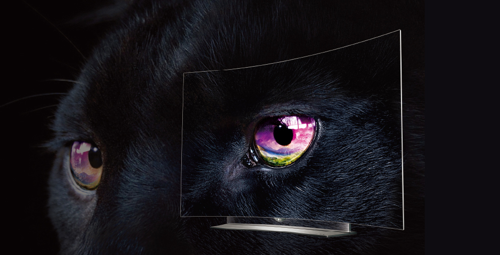 LG 65EG960V 4K OLED 990