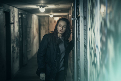 The Last Panthers The Last Panthers