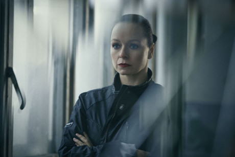 The Last Panthers The Last Panthers