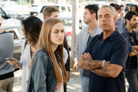 Bosch sesong 3 3 13539