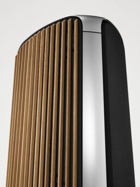 BeoLab 50 bird perspective 25606