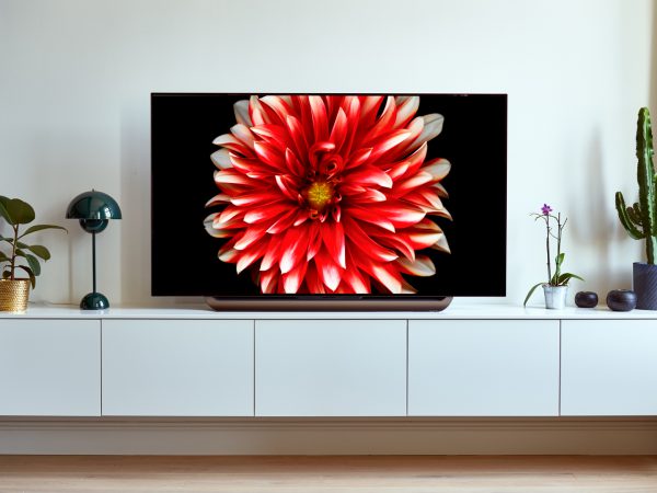 LG OLED65C8