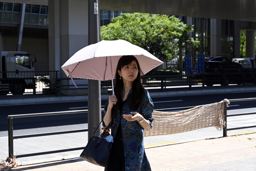 Nikon Z7 24 70mm 45215