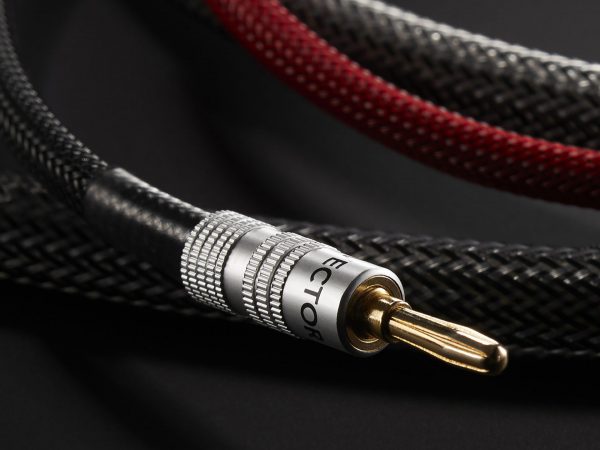 Audiovector Zero Compression Signature