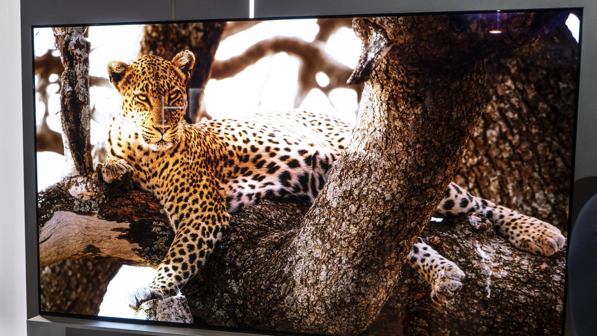 LG starter lanceringen af 2020’s 4K og 8K OLED-TV’er