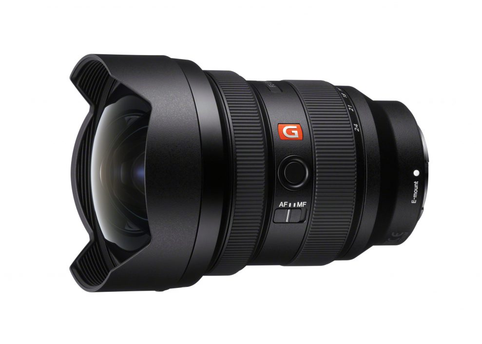 SEL1224GM A Large scaled 2