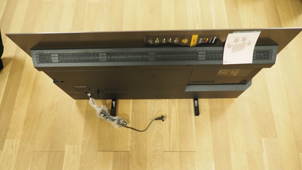 Panasonic JZ1000 rear scaled 1