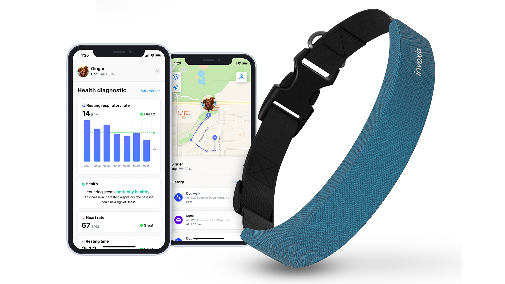 De vildeste dimser på CES 2022 6 App Smart Dog Collar