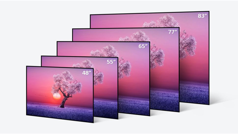 LG OLED C1 sizes