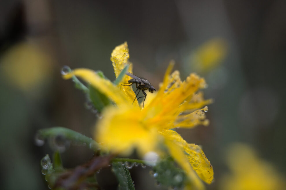 M11 f8 1 320sec ISO800 3 M11 f8 1 320sec ISO800 3