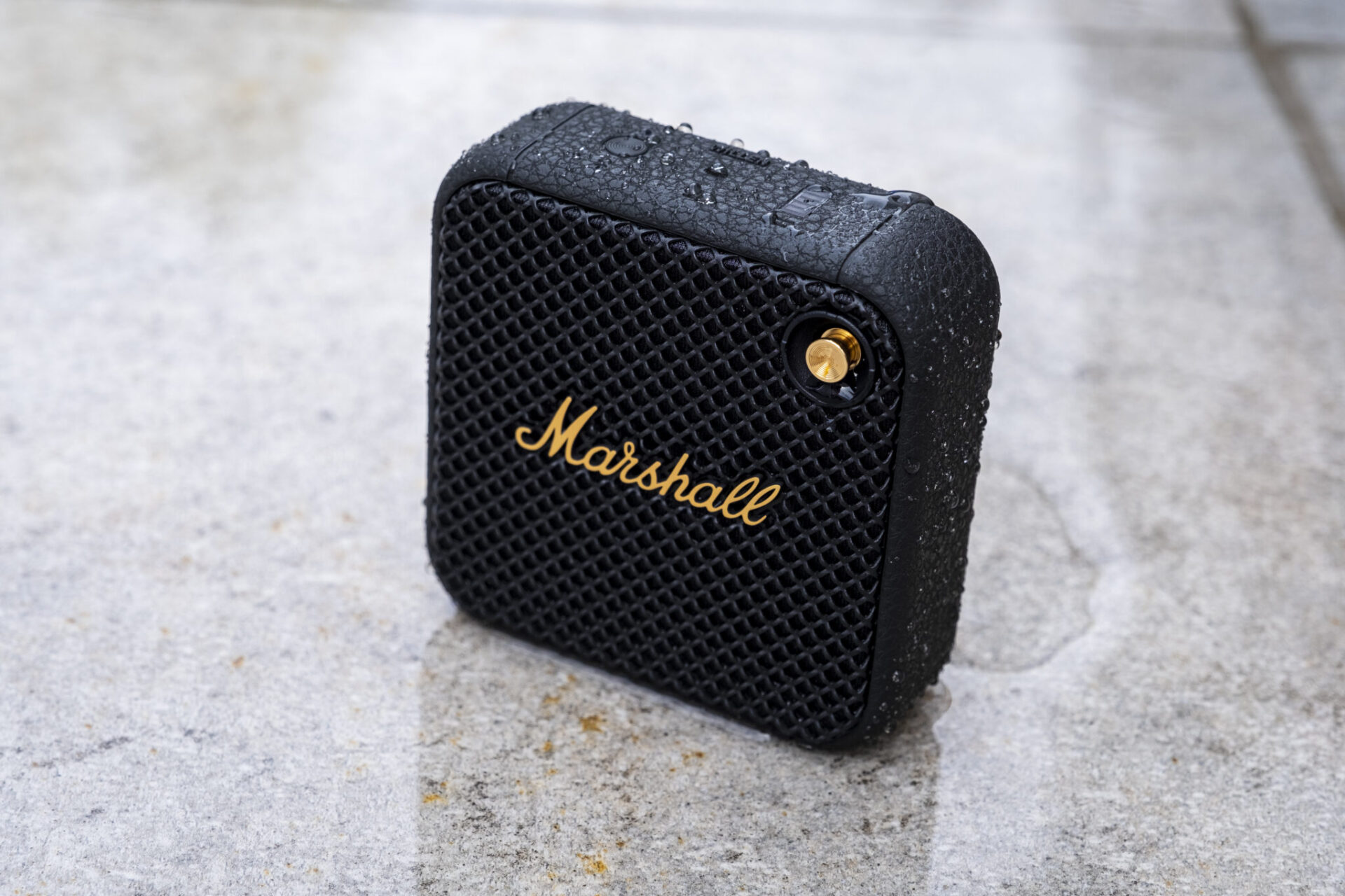 Marshall Willen 2 2048x1365 1 Marshall Willen 2 2048x1365 1