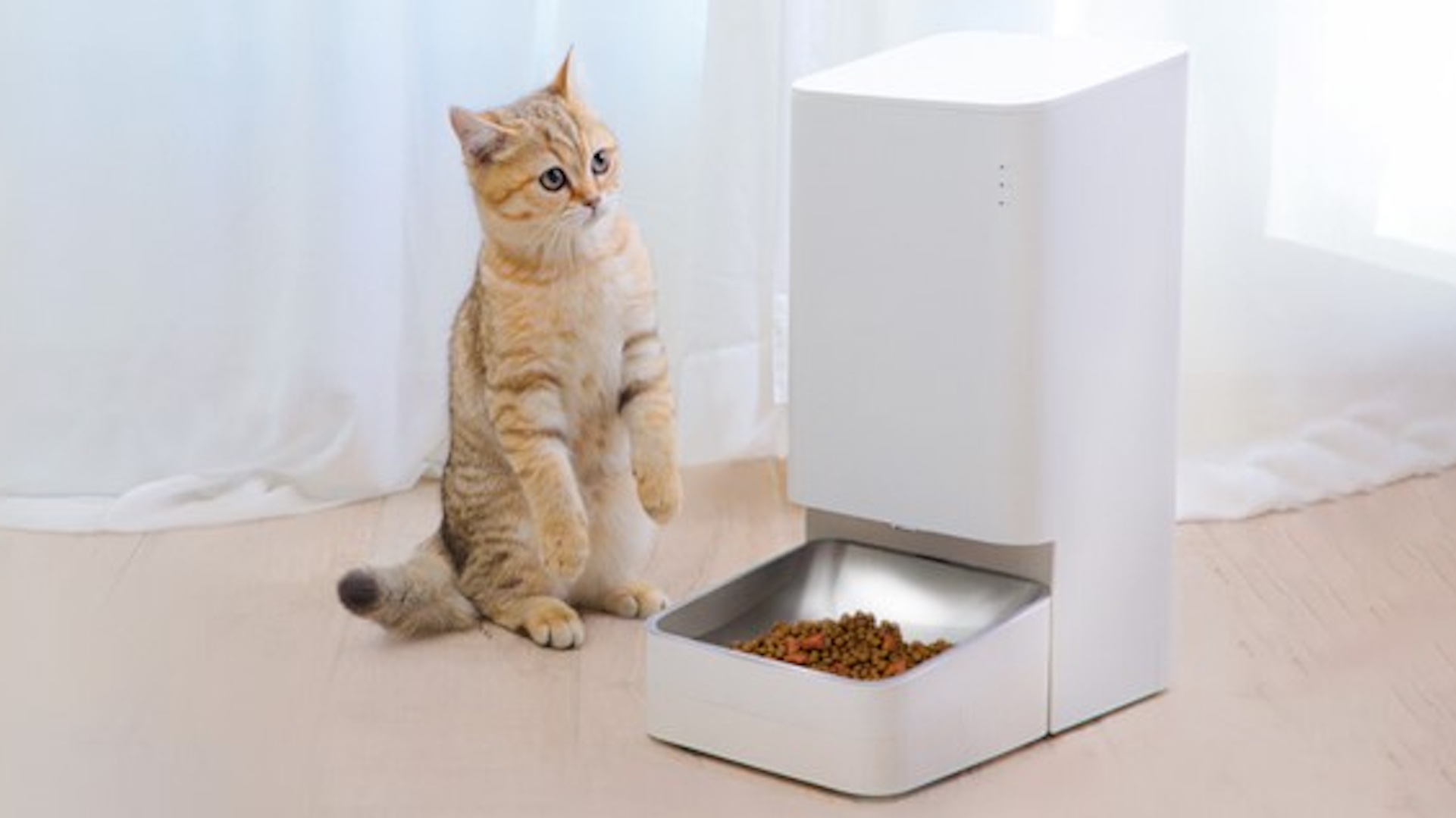 xiaomi petfeeder TOP