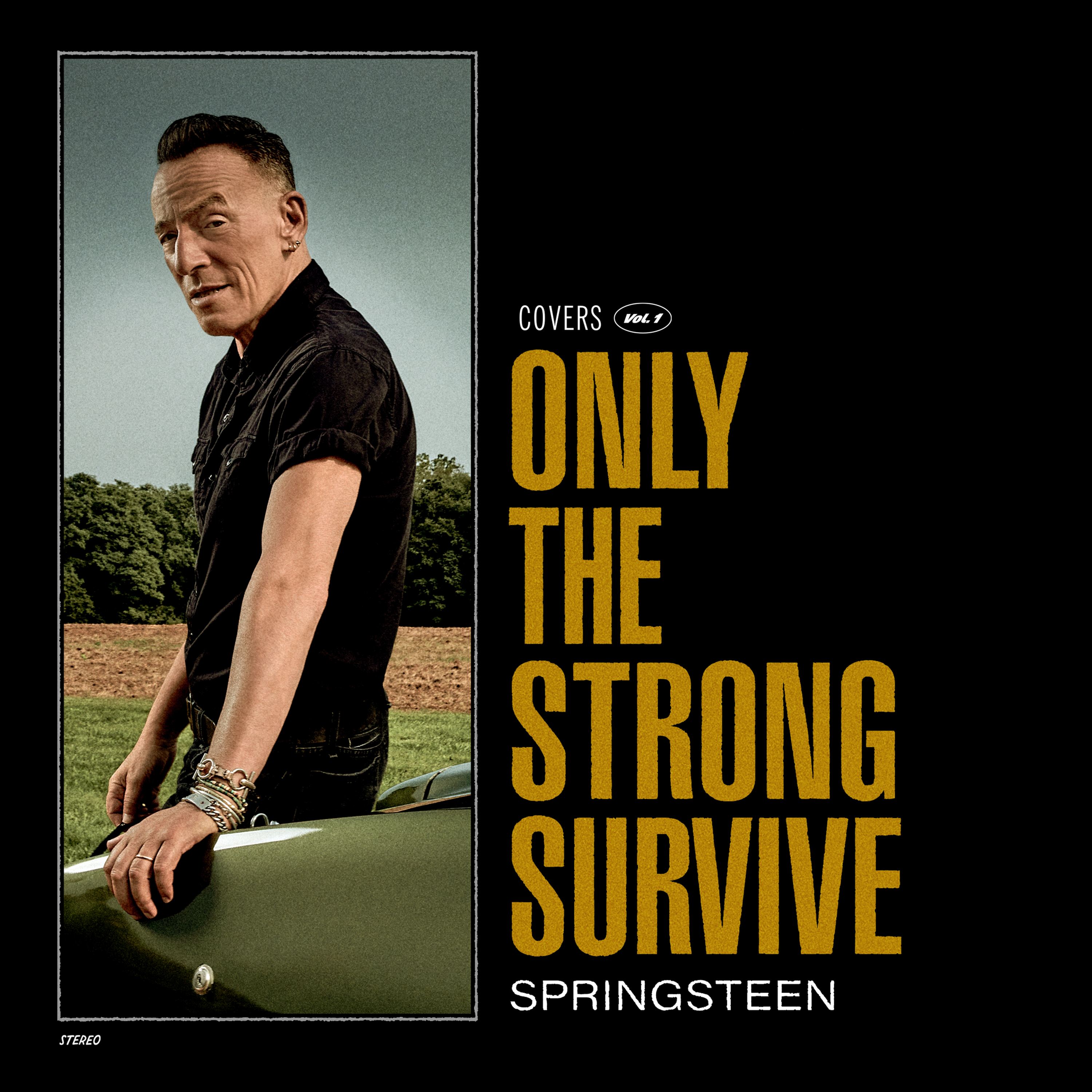 Bruce Springsteen, nyt album - Only the Strong Survive 3 Bruce Springsteen Only the Strong Survive 1 1