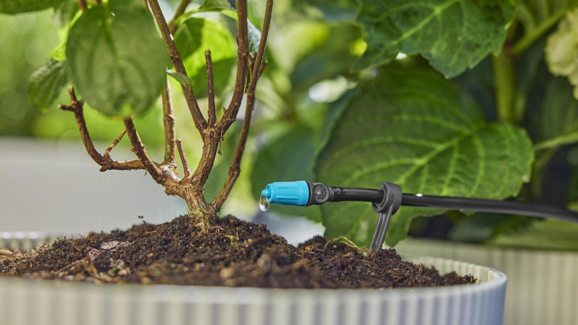 Gardena Micro-Drip-systemet holder din have frisk