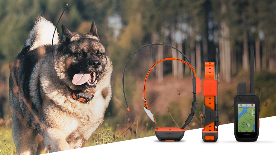 Garmin Alpha 300 hundesporing og T20 halsbånd