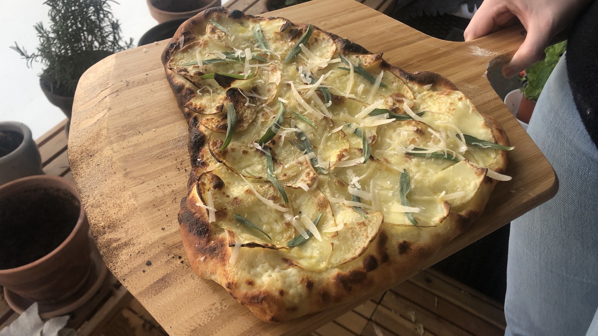 Ooni Volt 12 4 Pizzaovn opskrift