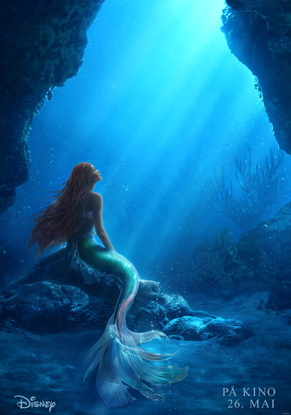 The Little Mermaid_1 (3)