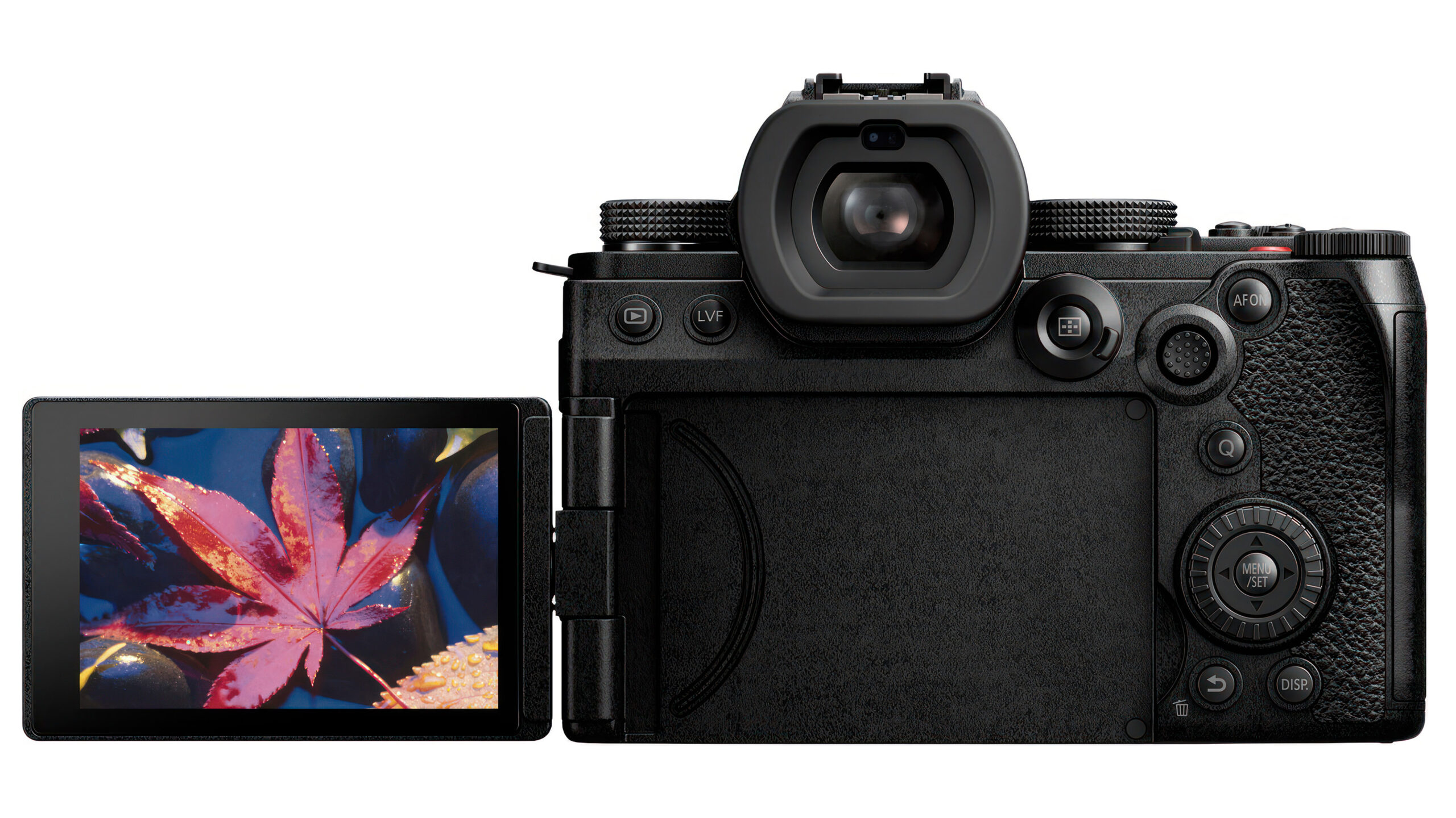 Panasonic Lumix DC-S5IIx 6 panasonic-lumix-s5iix back monitor out