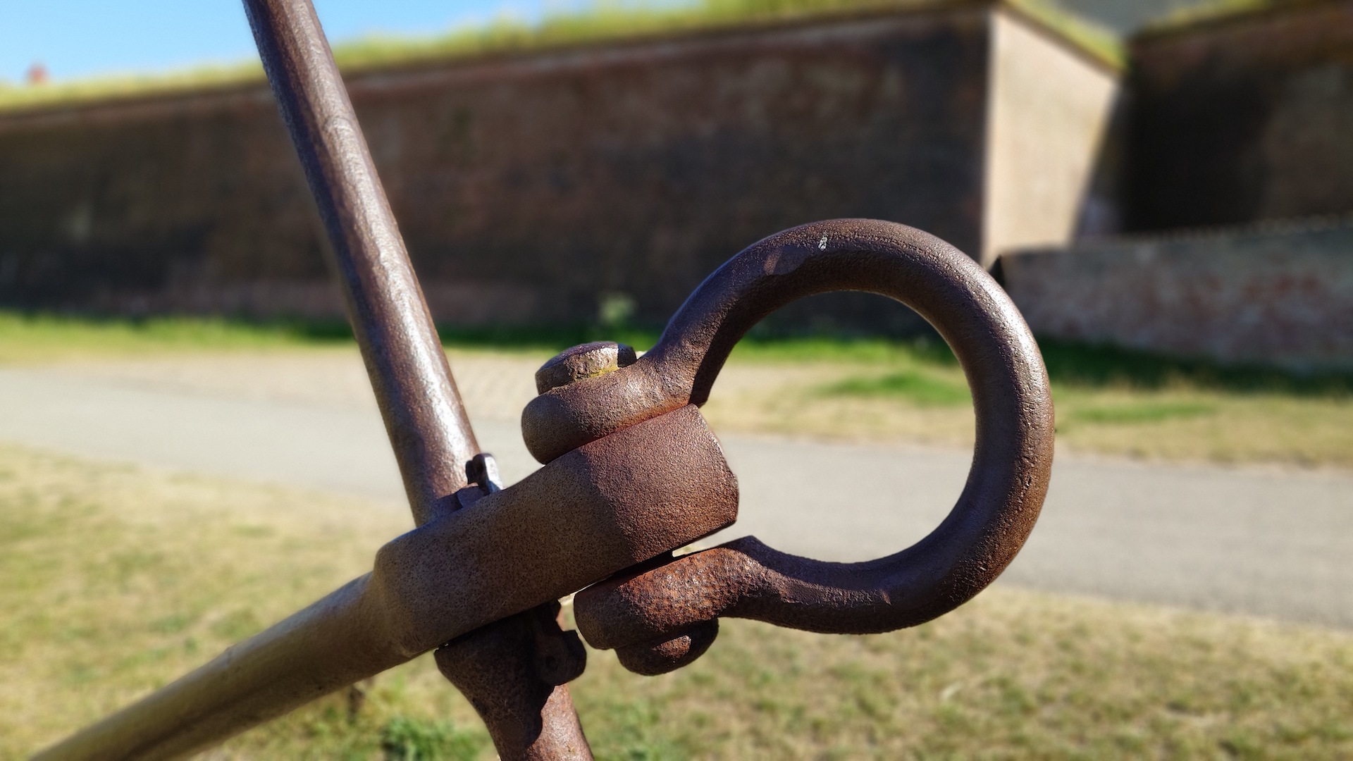 Sony Xperia 1 V 5 bokeh
