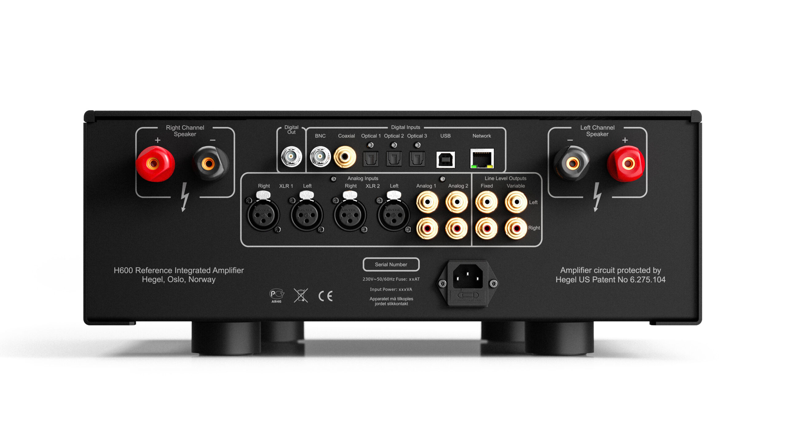 Hegel H600 4 Hegel H600 rear 1 scaled 1