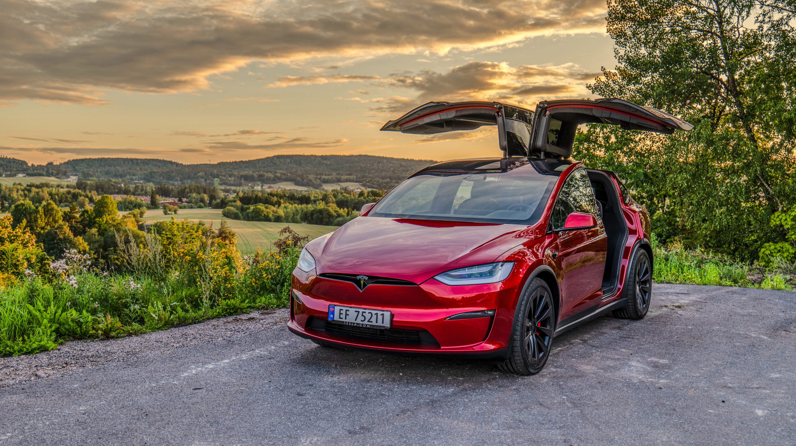 Tesla Model X Plaid 2 Model X falcon wing doors GeirNordby