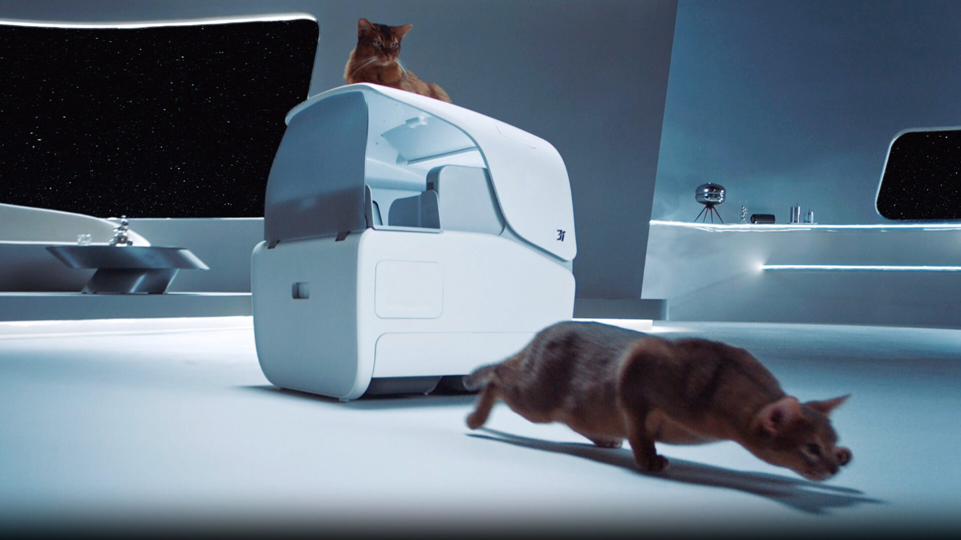 Verdens første intelligente kattebakke