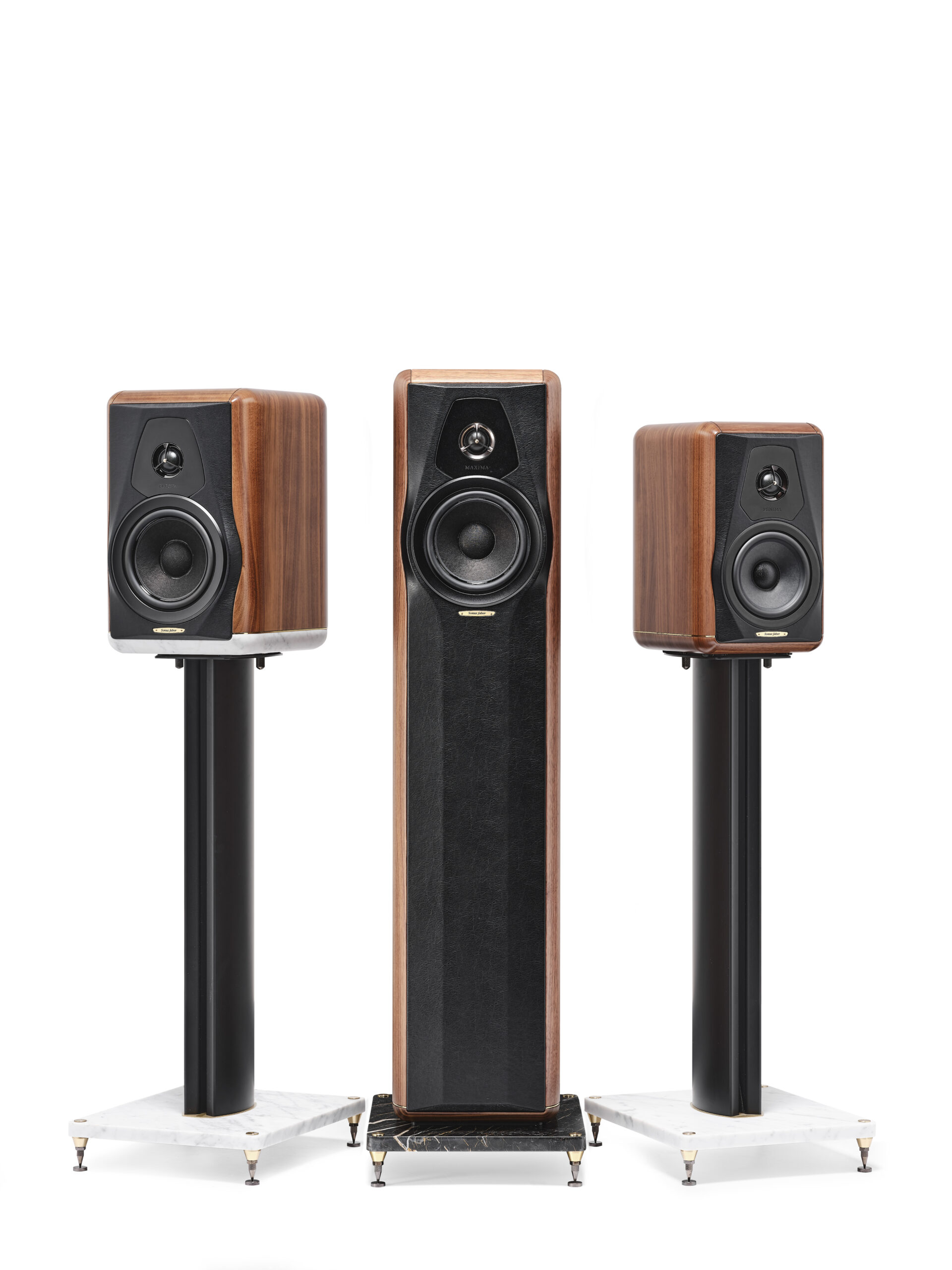 Sonus faber Maxima Amator 8 STILL MAXIMA SONUS FABER 12981 scaled