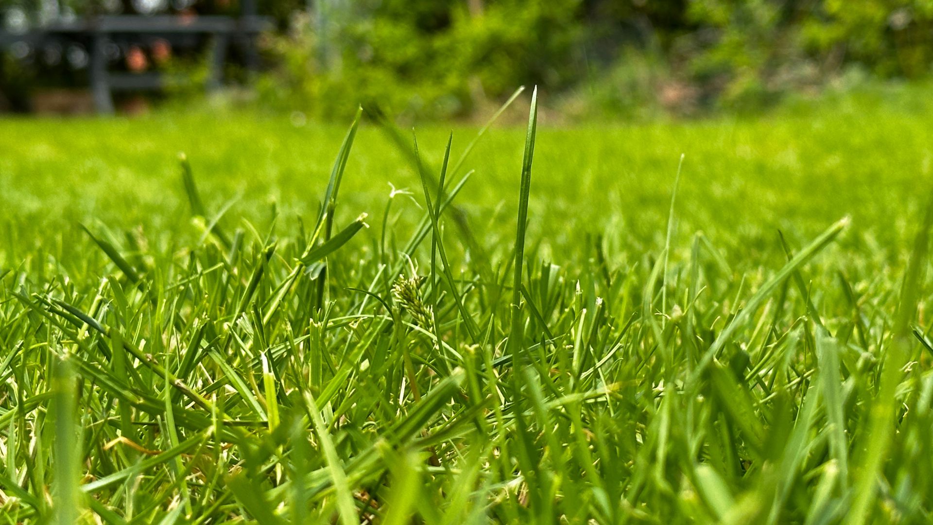 RoboUp TM01 T1200 Pro 2 RoboUp grass