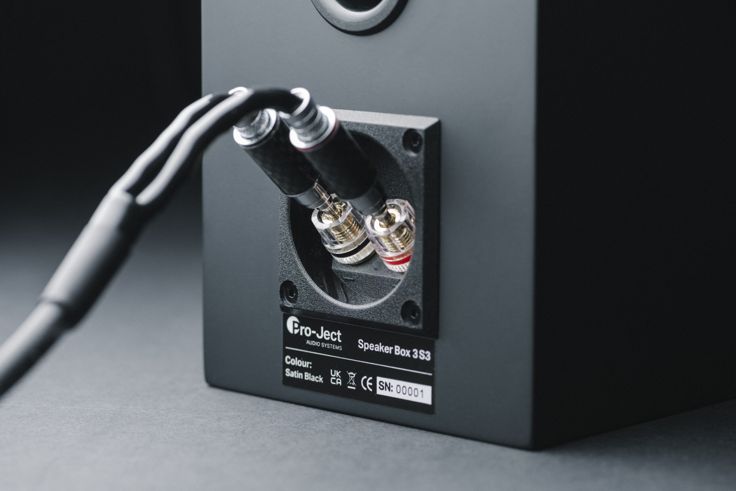 Pro-Ject Speaker Box 3E 1 Speaker Box 3E Carbon detail terminal 1 scaled