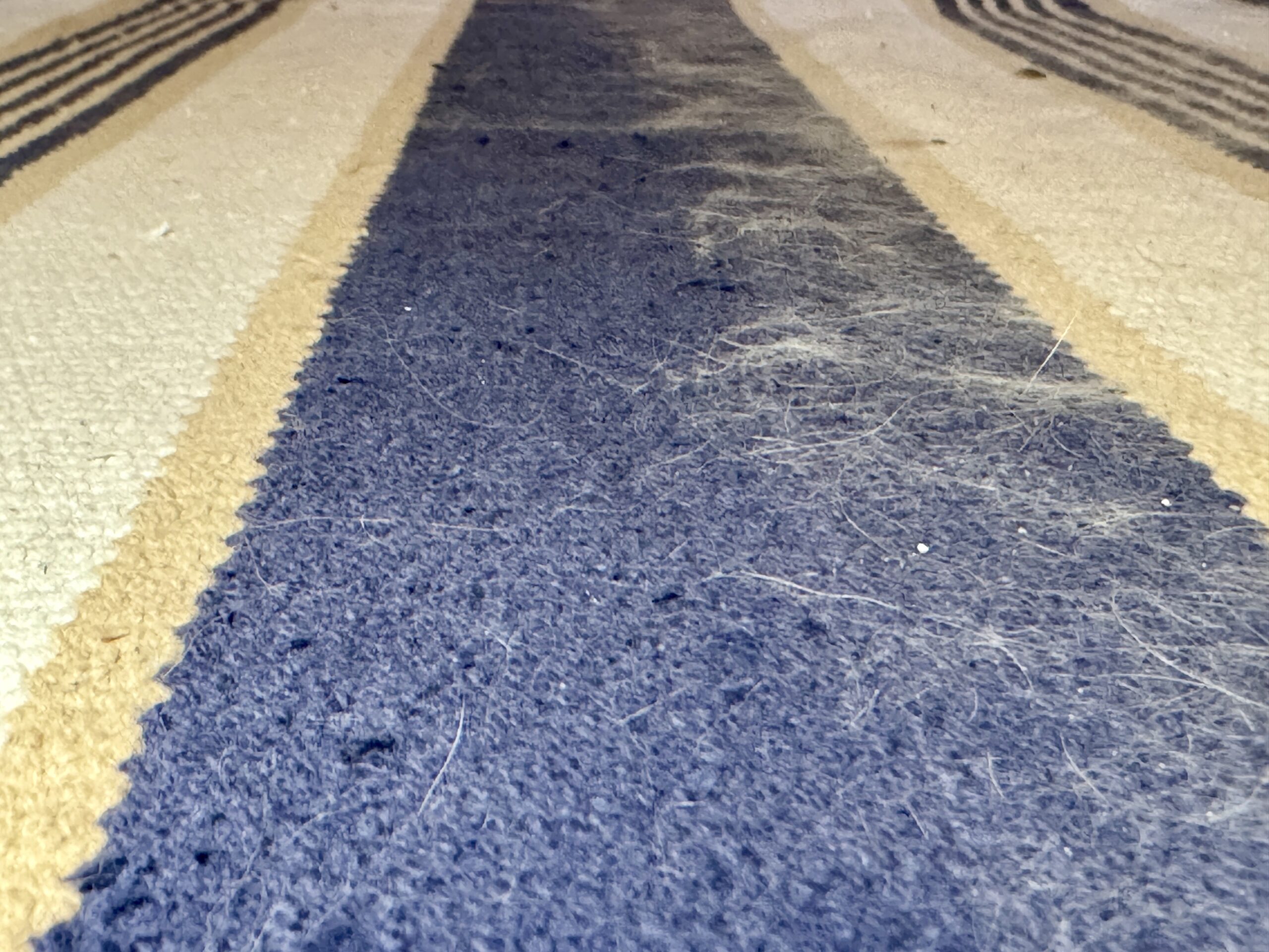 Dyson gen5detect Absolute 4 dyson rug test scaled