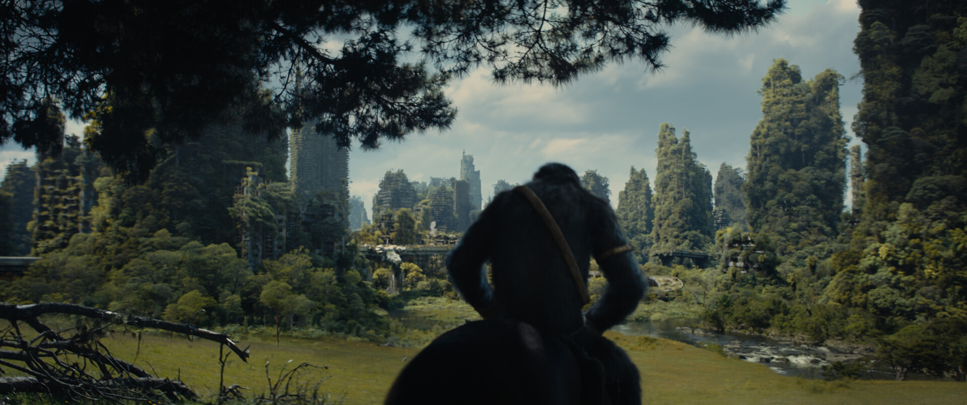 Kingdom of the Planet of the Apes - snart tilgængelig i din stue 1 Kingdom of the Planet of the Apes 1 6