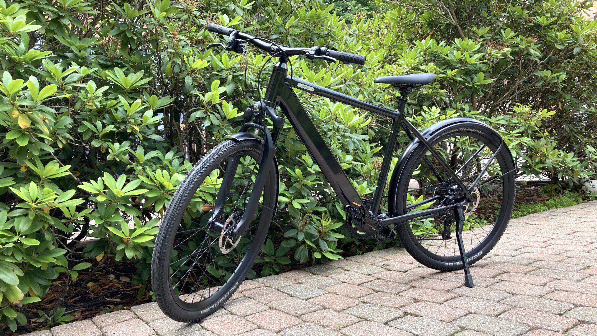 Coboc Iseo Medium Salmiak Black