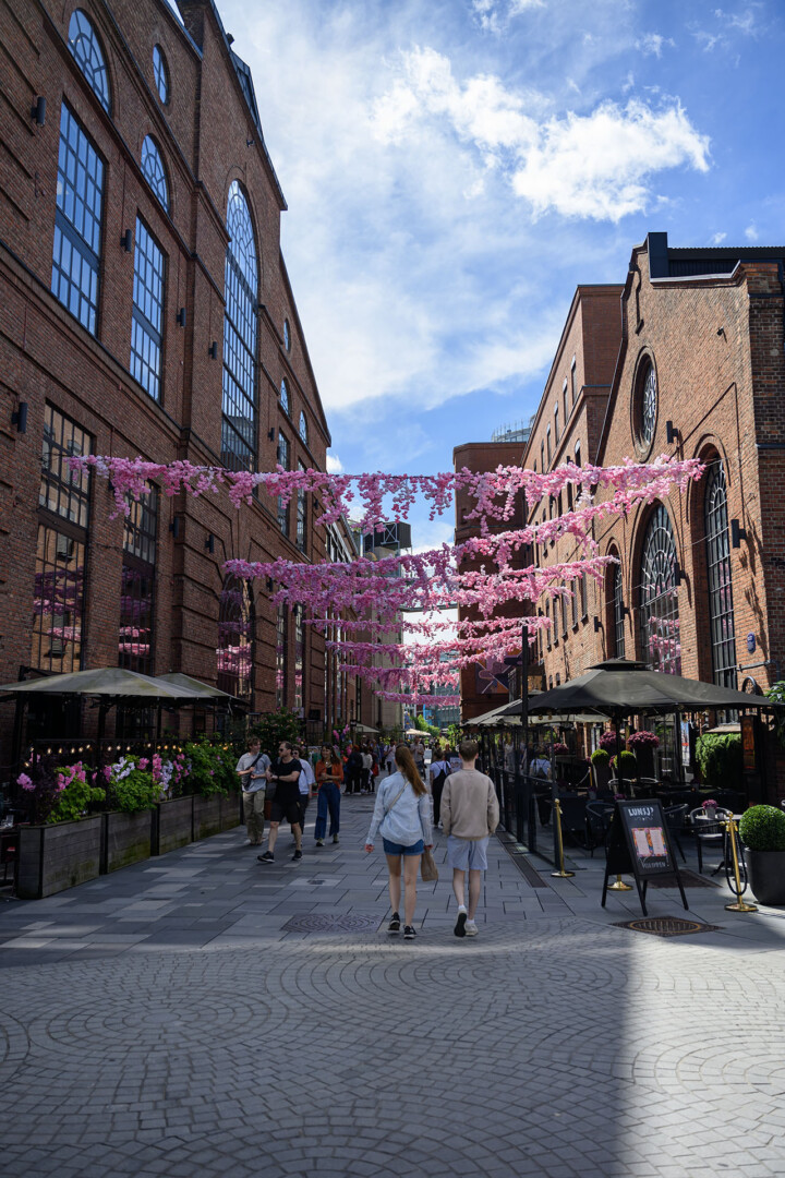 Nikon Z6 III test 4 Nikon Z6 III test 4