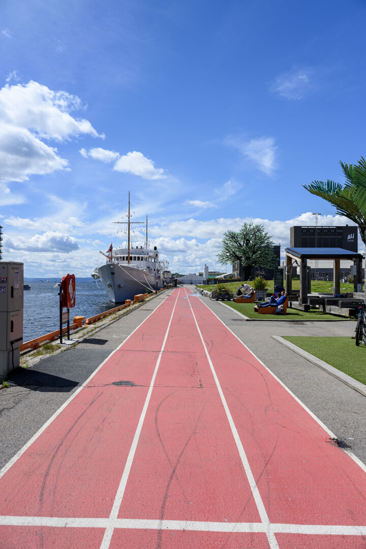 Nikon Z6 III test 7 Nikon Z6 III test 7