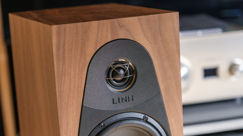 Linn 119 5 Linn 119 diskant