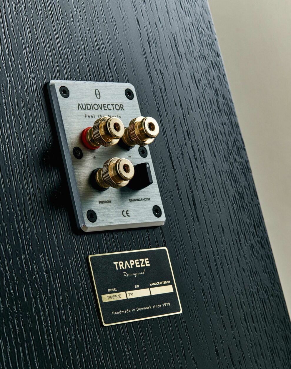Audiovector Trapeze Ri 7 AUDIOVECTOR TRAPEZ58584 c scaled 1