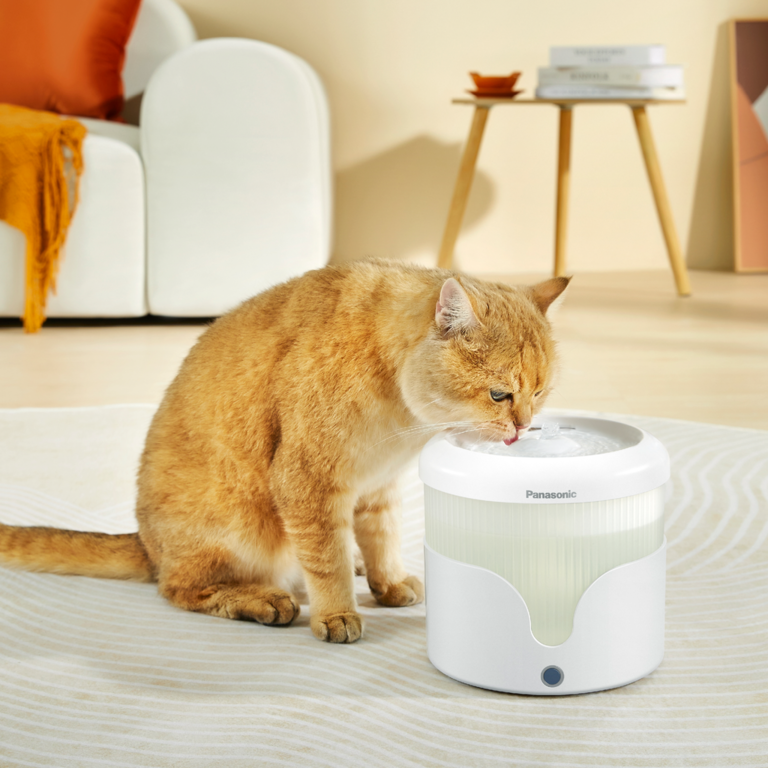 6 smarte foder- og vandautomater til kæledyr 1 panasonic petcare CP JNW01CW lifestyle cat 04 2000x2000 1