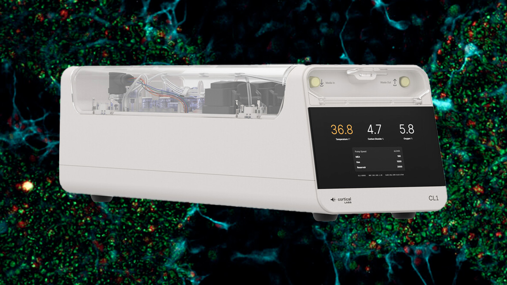 Cortical Labs laver biologisk computer med hjerneceller