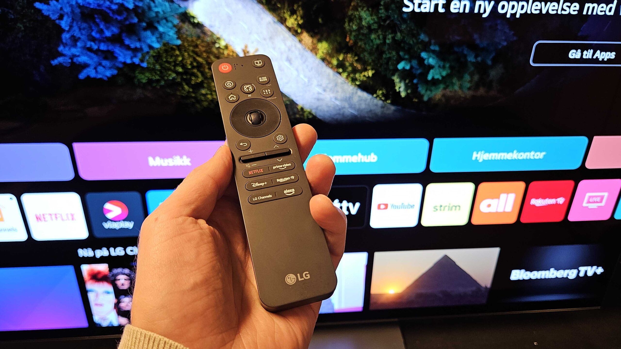 LG OLED C5 (OLED65C5) 2 LG OLED C5 remote scaled