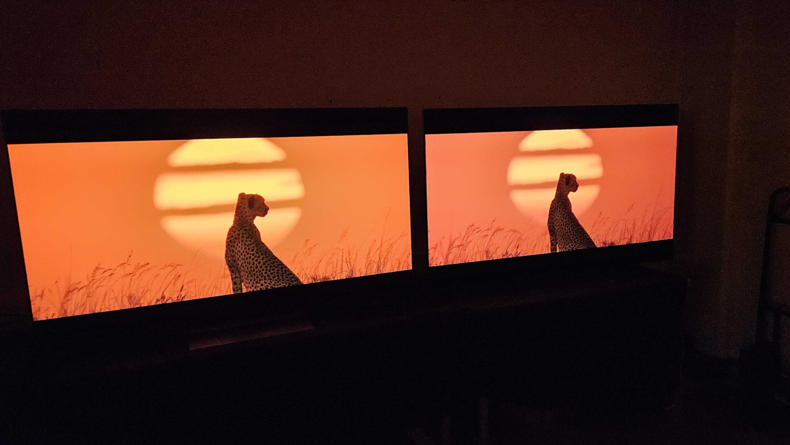 LG OLED C5 (OLED65C5) 5 LG OLED C5 vs OLED G5 scaled