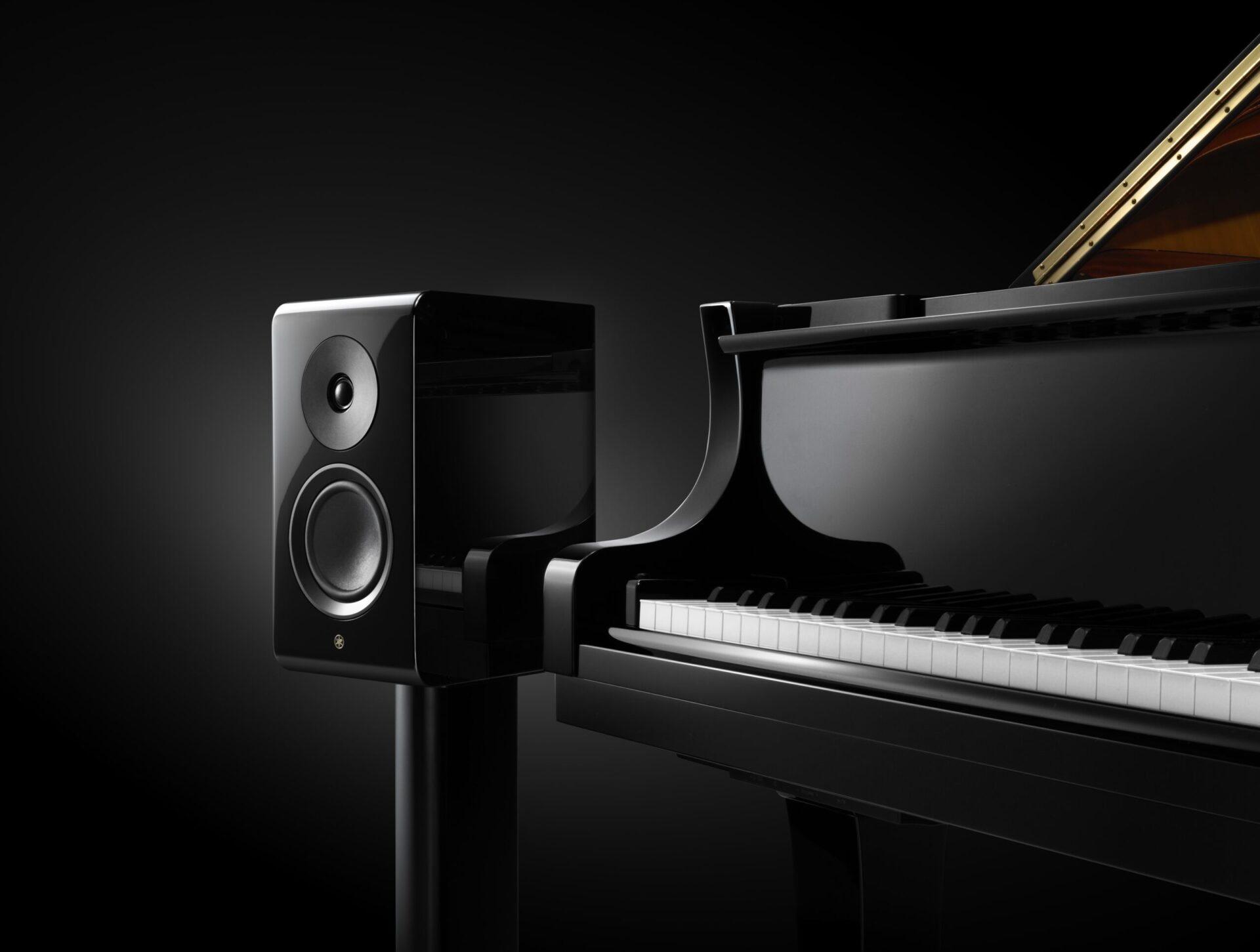 NS600A piano 0006 scaled 1