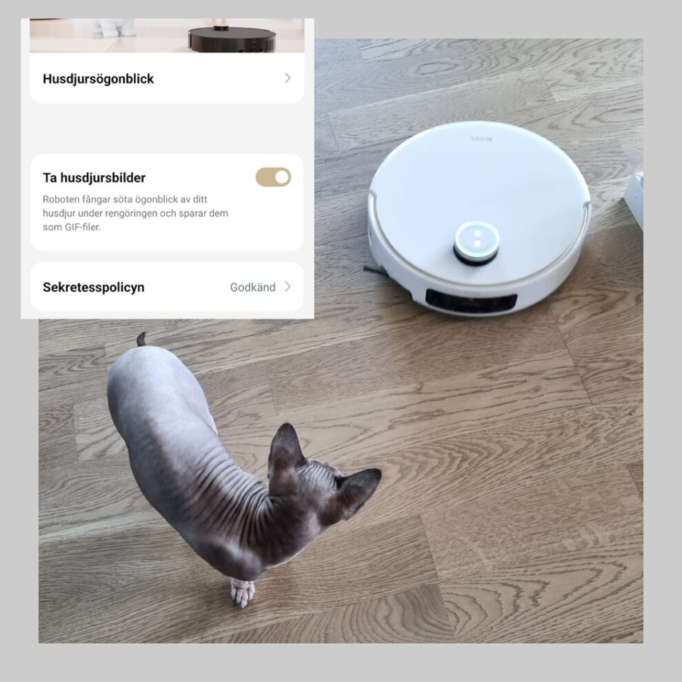 Mova V50 Ultra Complete Katt