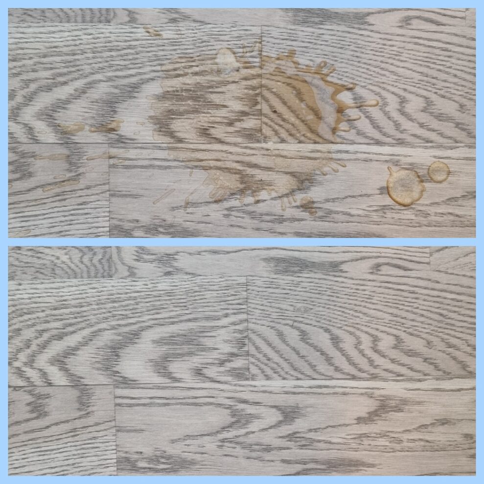 Ecovacs deebot T50 omni kaffe