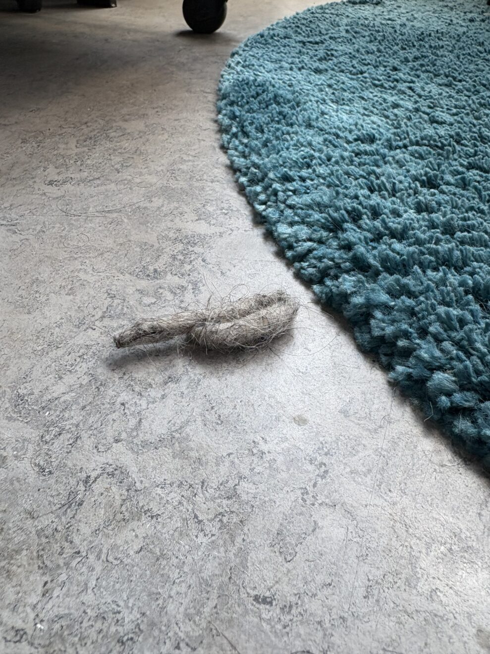 Roomba Plus 505 combo 02